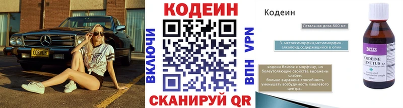 Купить закладки  Жиздра  Кодеин Purple Drank 